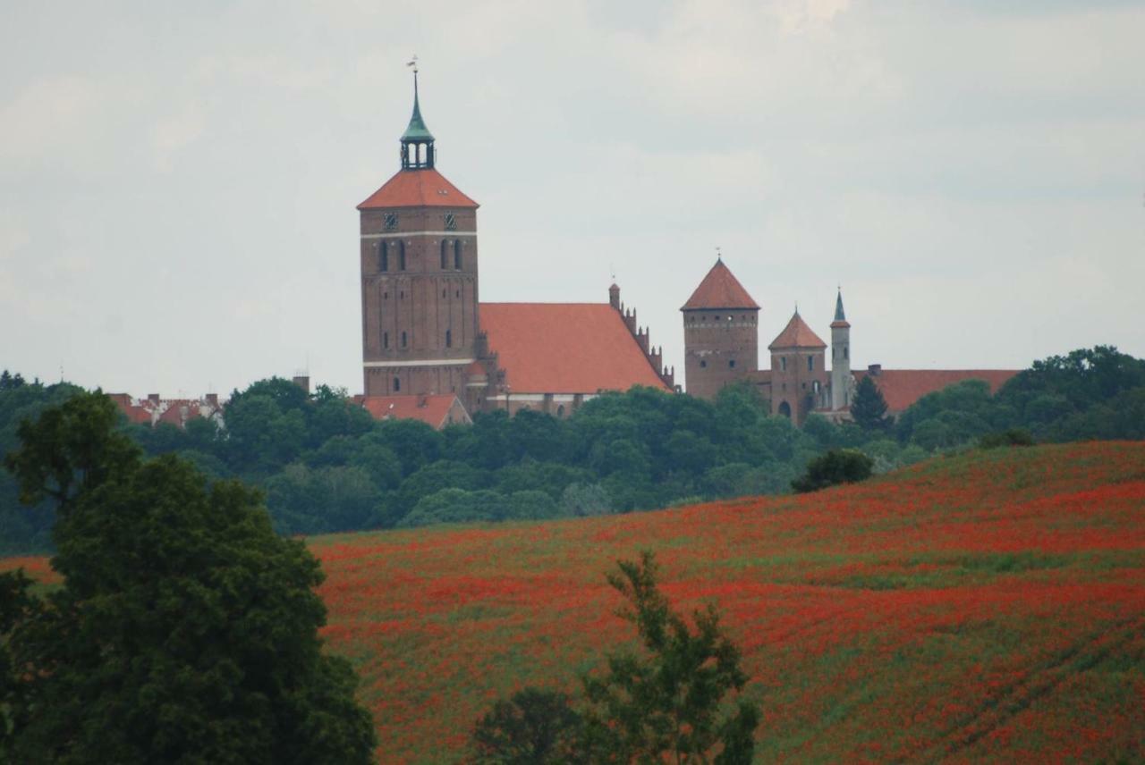 Dom Goscinny Ogluszka Pilec Buitenkant foto